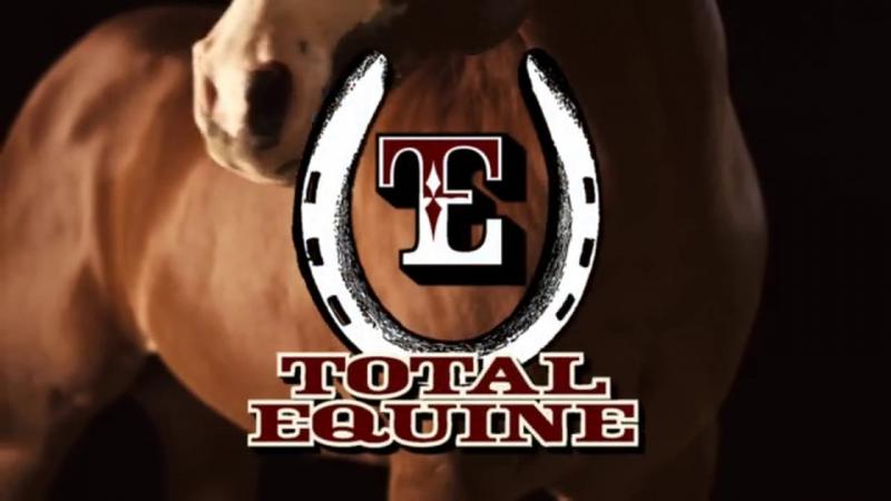Total Equine New Age Feed